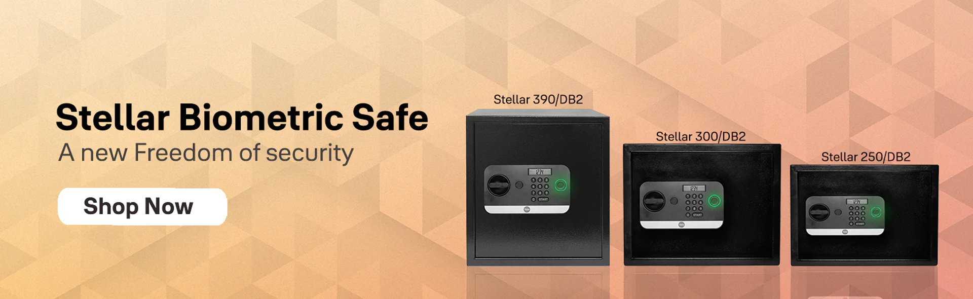 STELLAR LOCKER